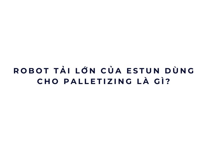 Robot tải lớn của Estun dùng cho palletizing là gì?