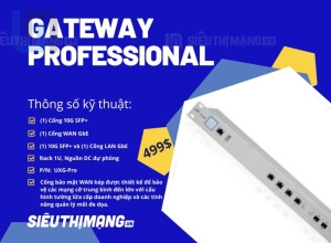 Gateway Professional
