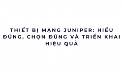Thiết bị mạng Juniper: hiểu đúng, chọn đúng và triển khai hiệu quả