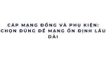 Cáp mạng đồng và phụ kiện: chọn đúng để mạng ổn định lâu dài