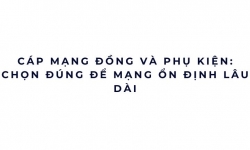 Cáp mạng đồng và phụ kiện: chọn đúng để mạng ổn định lâu dài