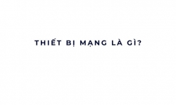 Thiết bị mạng là gì?
