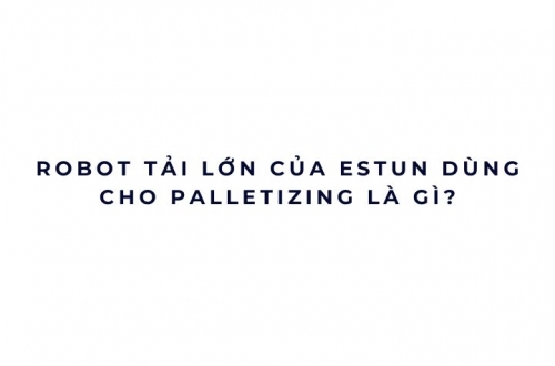 Robot tải lớn của Estun dùng cho palletizing là gì?