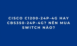 Cisco C1200-24P-4G Hay CBS350-24P-4G? Nên Mua Switch Nào?