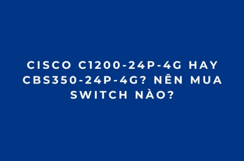 Cisco C1200-24P-4G Hay CBS350-24P-4G? Nên Mua Switch Nào?