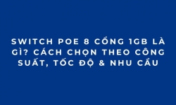Switch PoE 8 Cổng 1Gb Là Gì? Cách Chọn Theo Công Suất, Tốc Độ & Nhu Cầu