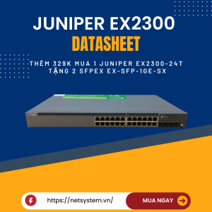 Juniper EX2300 Datasheet